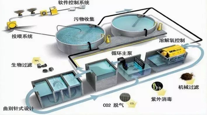 重磅!湖州市第一家国内领先的工厂化循环水设施渔业养殖项目开工建设